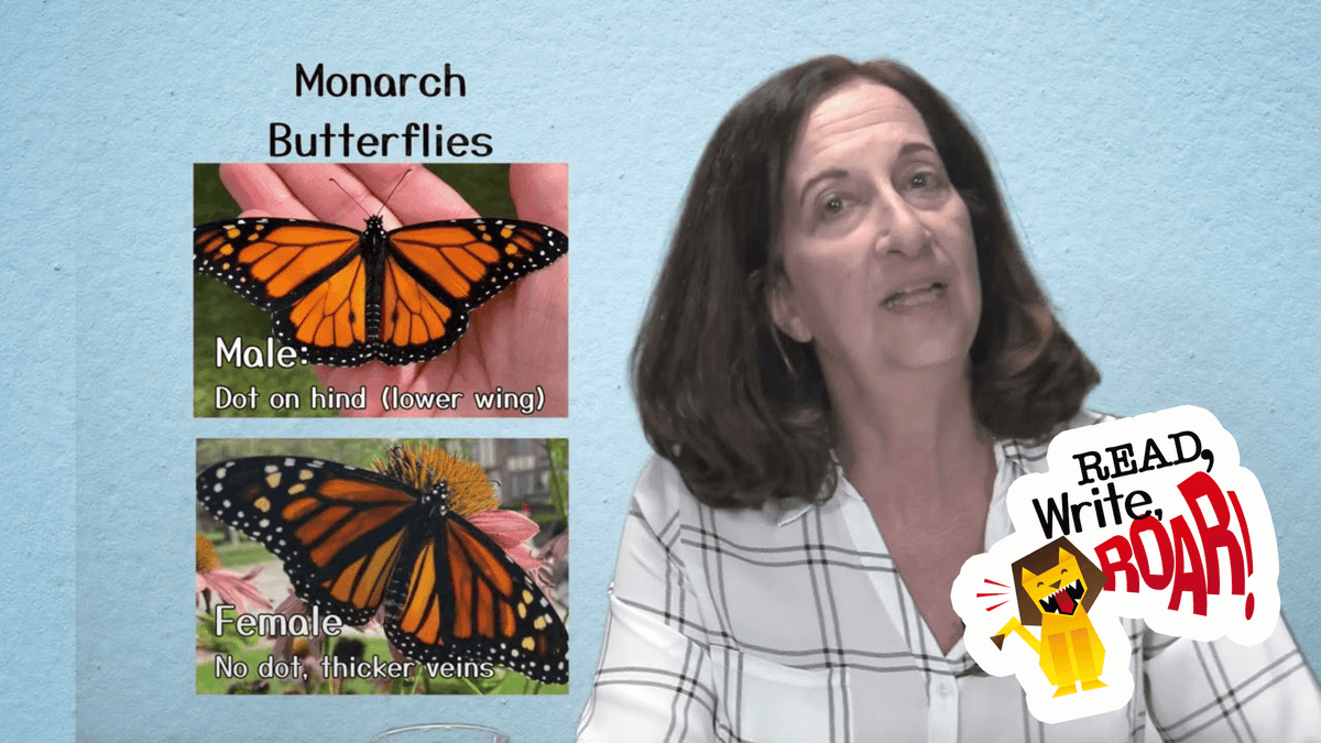 How to Identify Reliable Sources | Ms. Kara | Read, Write, ROAR!