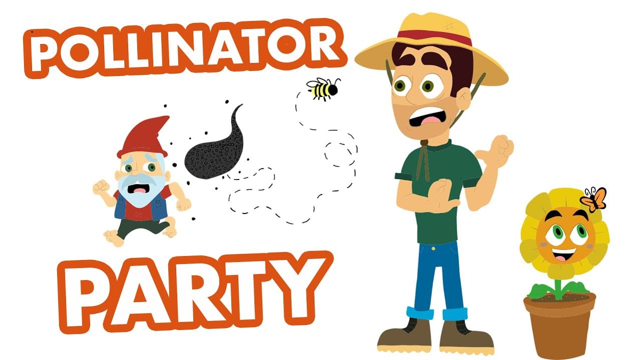 Educational Video