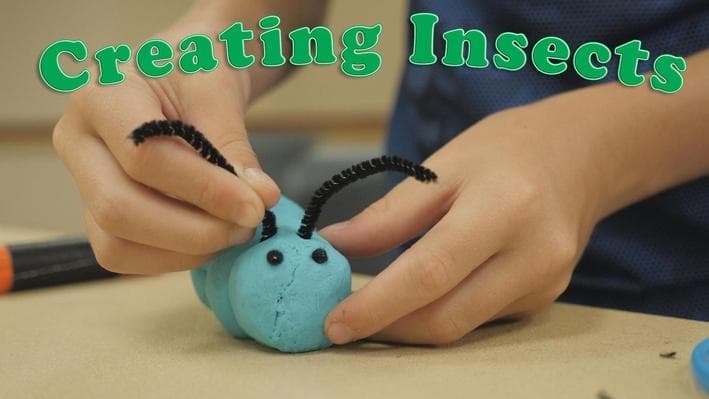 Educational Video
